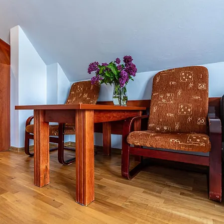 Artmontis Bed and Breakfast Kościelisko