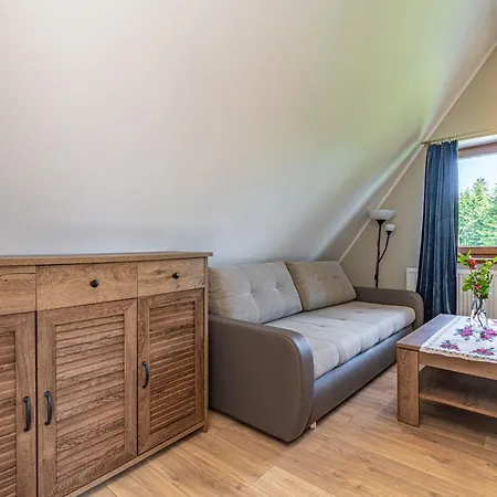 Willa Artmontis コシチェリスコ